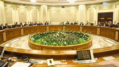 «المشاط»: ضمانات الاتحاد الأوروبي تُحفز جذب 11 مليار يورو استثمارات أجنبية مباشرة