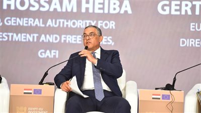 حسام هيبة: حزمة إصلاحات استراتيجية لتحويل مصر لمركز إقليمي للاستثمارات