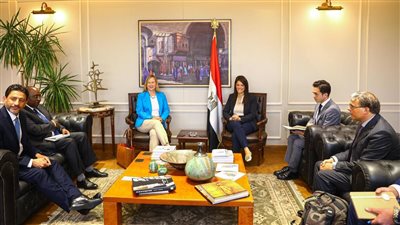 مصر تبحث الاستفادة من برنامج سوق رأس المال المشترك J-CAP