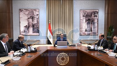 الحكومة: تكليفات رئاسية بسرعة إدخال قدرات كبيرة من الطاقة المتجددة لشبكة الكهرباء