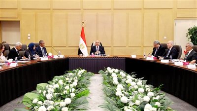 كامل الوزير: التصديق الفوري لإعادة تشغيل ومساعدة المصانع المتعثرة