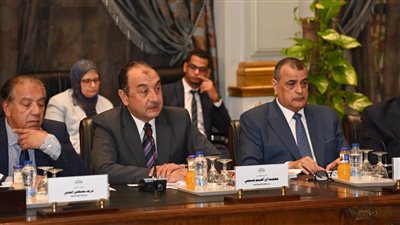 وزير قطاع الأعمال: تكثيف جهود تعظيم العائد على الأصول وتطوير الشركات التابعة