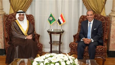 وزير الخارجية والهجرة: أمن واستقرار دول الخليج هو مصلحة مصرية مباشرة