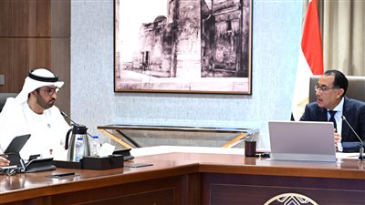 مصر تتعاون مع الإمارات لإضافة 4 جيجاوات من الطاقة المتجددة لشبكة الكهرباء 