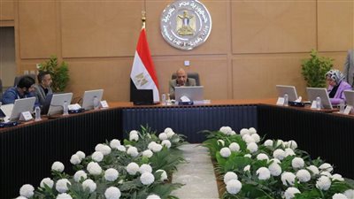 وزير الكهرباء: تشغيل مشروع الربط المصرى - السعودى قبل بداية الصيف المقبل