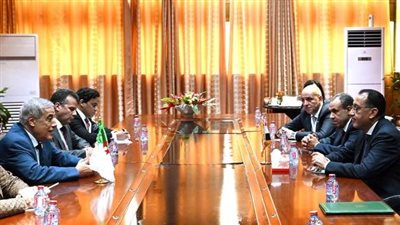 اتفاق مصري- جزائري على انعقاد اللجنة المشتركة بالربع الأخير من 2024