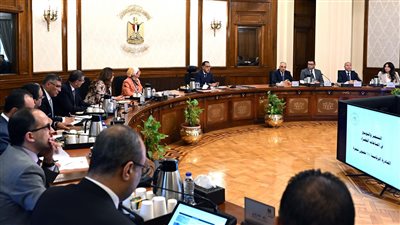 رئيس الوزراء يكلف بتشجير المحاور المرورية بالقاهرة الكبرى وعواصم المحافظات