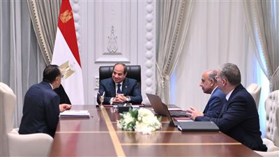 السيسي يوجه بتكثيف العمل بمشروعات الطاقة المتجددة لإضافة قدرات جديدة للشبكة الكهربائية