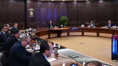 الحكومة: ماضون في استكمال برنامج الطروحات لتعظيم العائد على الأصول المملوكة للدولة 