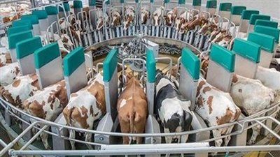 «الزراعة» تصدر 1052 ترخيصًا جديدًا خلال يوليو الماضي