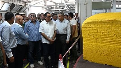 المصرية الأفريقية لصناعة الأسفنج والبلاستيك تحقق مبيعات بقيمة 155 مليون جنيه سنويًا 