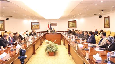 المجلس الأعلى للأمن السيبراني يبحث خطط مواجهة الأعطال التقنية