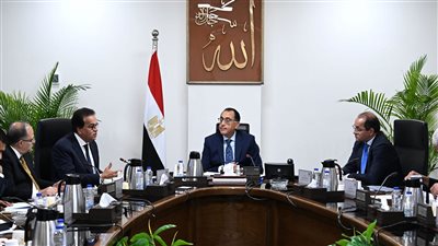 الحكومة تعلن تدبير 7 مليارات جنيه لسرعة توفير الأدوية والمستلزمات الطبية 