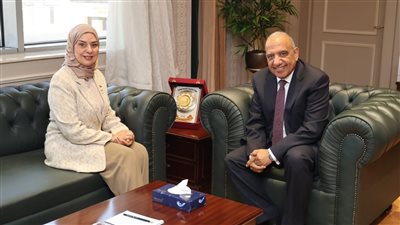 مصر والبحرين تبحثان تعزيز التعاون الثنائي بمجالات الكهرباء والطاقة المتجددة