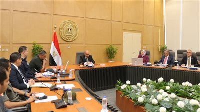 وزير الكهرباء يوجه بتكثيف العمل لإنهاء مشروع الربط المصري- السعودي الصيف المقبل