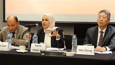 «الضرائب»: 8 مليارات دولار استثمارات الشركات الصينية في مصر