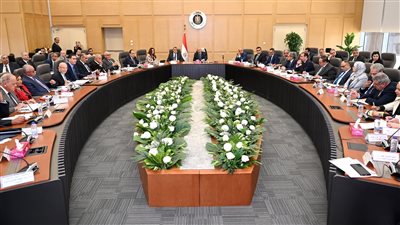 الحكومة تدرس تعديل تعريف المشروعات الصغيرة لمواكبة تغير أسعار الصرف