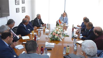 وزير قطاع الأعمال يبحث مع شعبة وسائل النقل فرص التعاون بصناعة السيارات