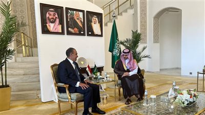 وزيرا خارجية مصر والسعودية يؤكدان تطابق المواقف والرؤى تجاه التحديات الإقليمية المختلفة