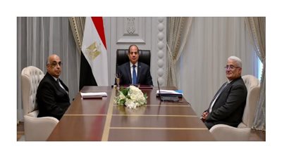 الرئيس السيسي يتابع جهود تعزيز فاعلية منظومة التقاضي وتطوير هيئة التأمين الاجتماعي
