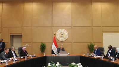 وزير الكهرباء يبحث مع البنك الدولى تنفيذ برامج التنمية والدعم بمختلف المجالات