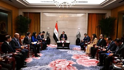 مصر تبحث مع «تشاينا إنرجي» الإسراع في توطين الصناعات المرتبطة بالطاقة المتجددة