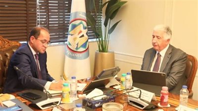 وزير المالية: ندرس إصدار سندات خضراء وصكوك محلية