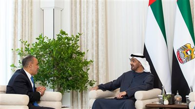 وزير الخارجية يبحث مع رئيس الإمارات تعزيز الشراكة الاقتصادية والاستثمارية