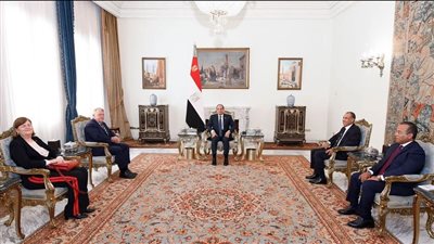 الرئيس السيسي يبحث تعزيز التعاون بين مصر والدنمارك بمجالات الطاقة والتحول الأخضر