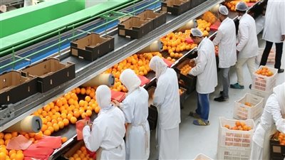 مصر تصدر نظام الإفراج السريع عن واردات مستلزمات الإنتاج لمنشآت التصنيع الغذائية