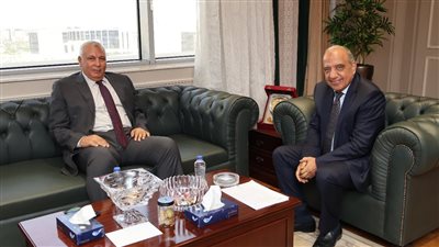 تنفيذ محطات طاقة شمسية بقدرة 290 ميجاوات في الوادي الجديد