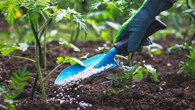 «الزراعة» تعلن إلغاء دعم الأسمدة عن 18 ألف منتفع