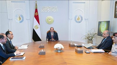 الرئيس السيسي يوجه بمواصلة تطوير منظومة الكهرباء وتعزيز الاستفادة من الطاقة المتجددة