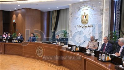 الحكومة توافق على دمج شركتي «المعصرة للصناعات الهندسية» و«حلوان لمحركات الديزل»