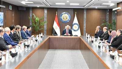 وزير البترول يتابع مع 5 شركات عالمية مستجدات مشروع الأمونيا الخضراء بدمياط