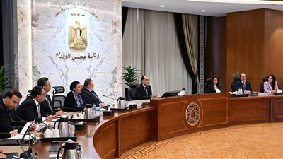 «مدبولي» يوجه المجموعة الوزارية الاقتصادية بسرعة الخروج بالإجراءات المحفزة لقطاع الأعمال الخاص 