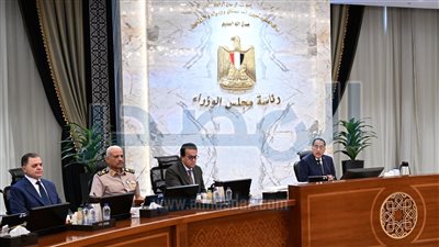 مجلس الوزراء يوافق على إصدار قانون التصرف في أملاك الدولة الخاصة