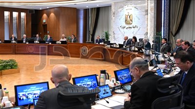 منح الرخصة الذهبية للشركة المصرية للأملاح والمعادن بالفيوم «أميسال»