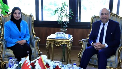 مصر والبحرين تبحثان التعاون المشترك في مجال الطيران المدني
