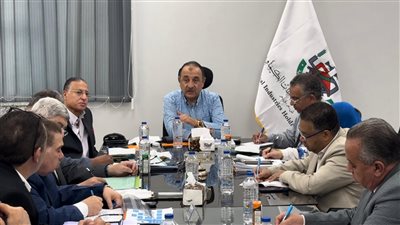 وزير قطاع الأعمال يستعرض مؤشرات أداء «القابضة للصناعات الكيماوية»