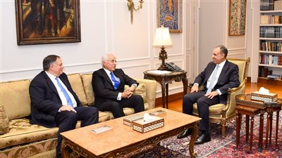 وزير الخارجية يؤكد أهمية بدء تنفيذ مشروع الربط الكهربائى بين مصر واليونان 