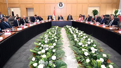 الحكومة تخطط لتوطين صناعة 12 منتجًا استراتيجيًا في قطاعي الإسكان والمرافق