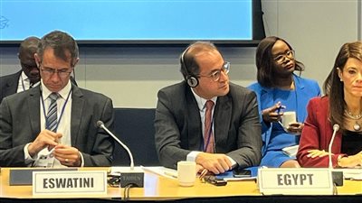 وزير المالية: 3 أولويات لتعزيز البنية المالية الإفريقية في مواجهة التحديات العالمية