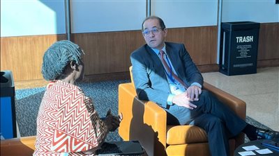 وزير المالية: التحول الاقتصادي في إفريقيا يتطلب جهودًا مضاعفة لدفع حركة النمو