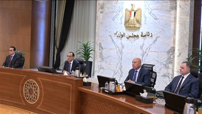 إنشاء منطقة حرة خاصة باسم شركة «غرس لمركزات الموالح» بمحافظة بورسعيد