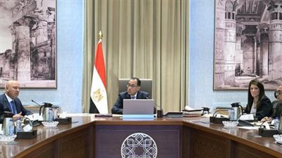 رئيس الوزراء يبحث آلية تعديل حدود الكربون لتعزيز تنافسية الصادرات المصرية