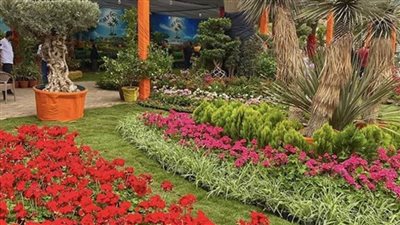 «الزراعة» تنفي أي عمليات لقطع الأشجار النادرة بحديقة الأورمان