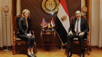 وزير قطاع الأعمال يتابع مستجدات مشروع المحطة الشمسية لمجمع الألومنيوم بنجع حمادي