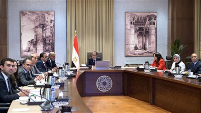 الحكومة تستعرض خريطة الأراضي المخصصة لمشروعات الطاقة المتجددة حتى 2040