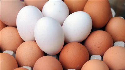 القابضة للصناعات الغذائية: استمرار ضخ بيض المائدة بالمجمعات الاستهلاكية بسعر 150 جنيه